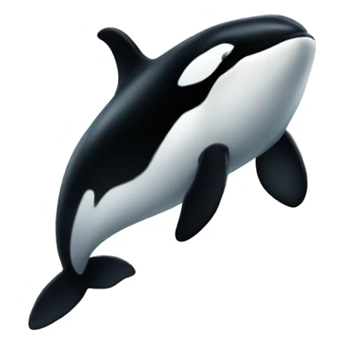 Orca  sticker