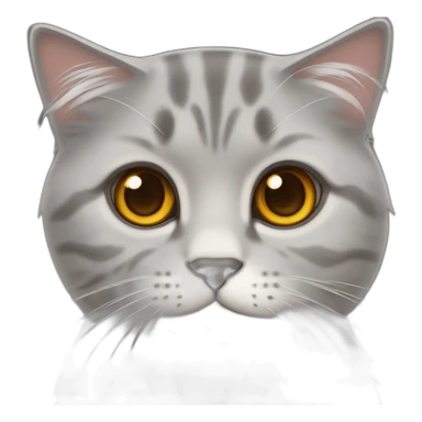 a gray, dry-haired cat with amber eyes, Scottish fold sticker