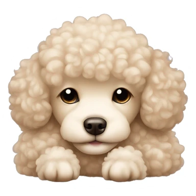 cream mini poodle sleeping with long hair sticker