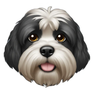 black shitzu sticker