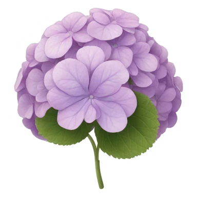 hortensia sticker
