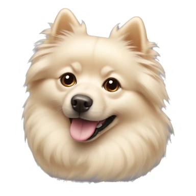 Cream-coloured spitz with a milky spot on the forehead sticker