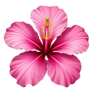 hibiscus flower pink sticker