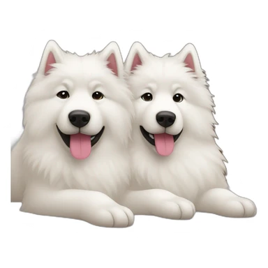 two-samoyeds-snuggling sticker