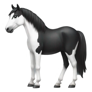 Black and white horse  sticker