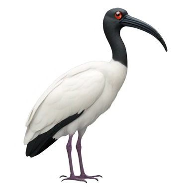 northern bed ibis sticker