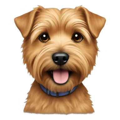 norfolk terrier with ab sticker
