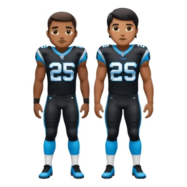Panthers nfl team sticker