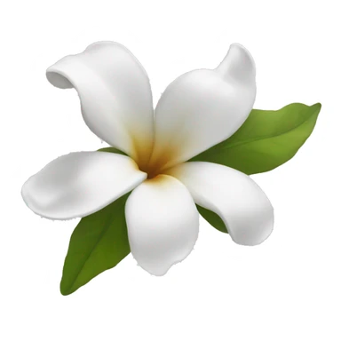 Flor branca  sticker