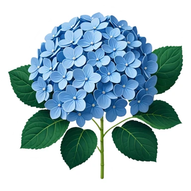 3D Realistic Still life detailed, Hydrangea macrophylla sticker