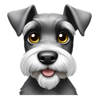 Mini schnauzer black & white playing with grey ears sticker