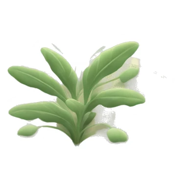 Open Light Sage green holy Bible with a light coloured gardens coming from the sides of the Bible  sticker