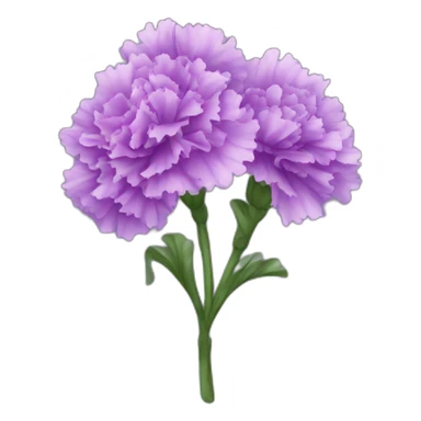 purple carnations  sticker