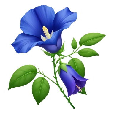 single Blue Butterfly Pea flower, stem, leaf sticker
