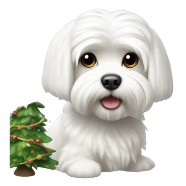  white maltese dog and Christmas tree sticker