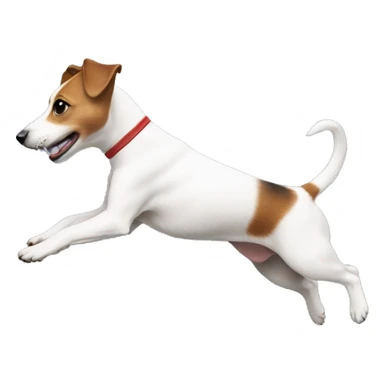Jackrussell body side jumping up sticker