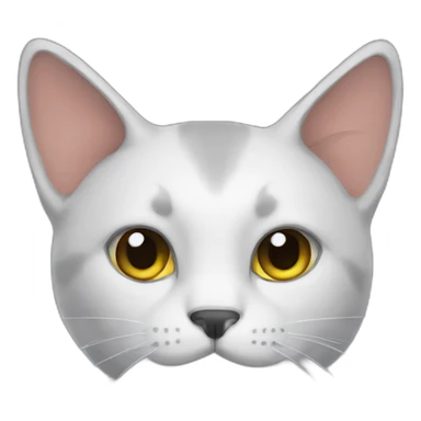 Discord app but it's a cat sticker