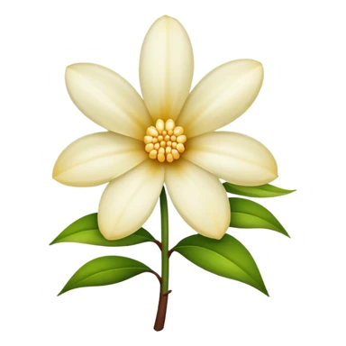 Vanilla flower  sticker