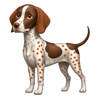white and orange spotted german short haired pointer no tail sticker