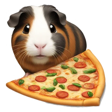 Guinea pig with pizzza sticker