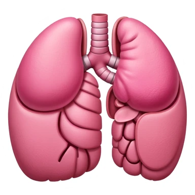 stomach organ sticker