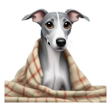 Grey whippet with a blanket sticker