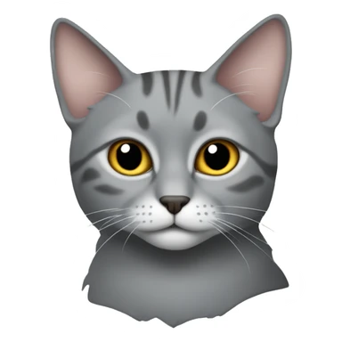 The grey cat of the Schotladn fold sticker