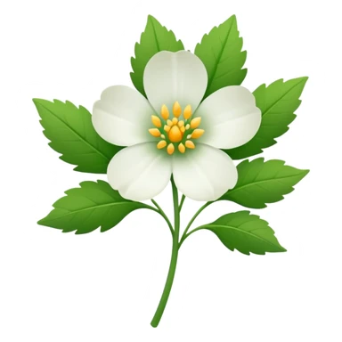 veronica flower white sticker