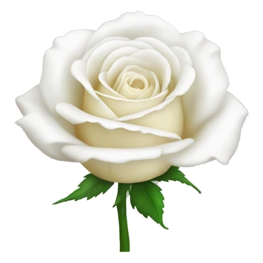 white rose  sticker