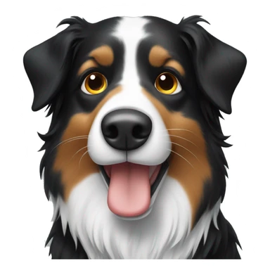 Dog border collie Vet sticker