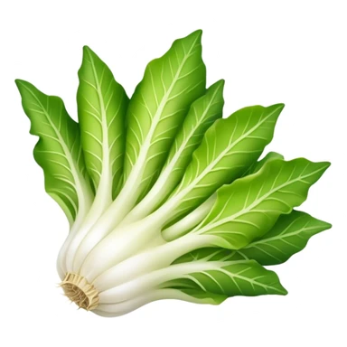 Endive sticker