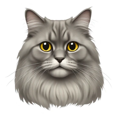 British longhair cat wearing T-shirt  sticker