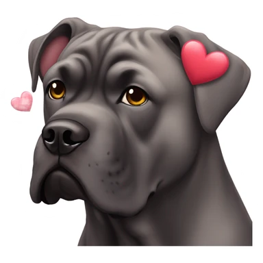 A Cane Corso with hearts over his head. sticker