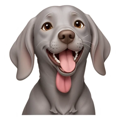 cinematic-cute-yawning-weimaraner-portrait-emoji,-head-tilted-slightly-with-a-dramatic,-wide-open-yawn,-revealing-a-sleek grey fur-with-a-subtle-shimmer,-floppy-ears-slightly-drooping,-round-brown-eyes-barely-open-in-drowsy sticker