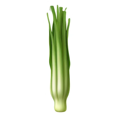long leek sticker