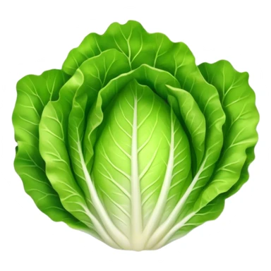 lettuce leaf on a plate sticker