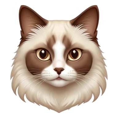 Cinematic Chocolate-Point Ragdoll Cat Portrait Emoji, Elegant and alert, sleek brown and white tones with a distinct white nose, Simplified yet sharp features, highly detailed, glowing with a warm, confident glow, high shine, intelligent and poised, stylized with an air of grace, focused and attentive, soft glowing outline, capturing the essence of calmness and elegance, so lifelike it feels as though it could spring into motion with a gentle, poised presence at any moment! sticker