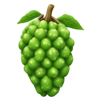 Noni fruit sticker