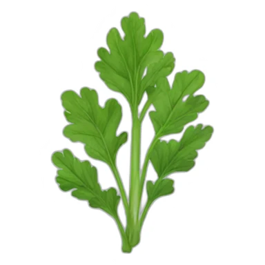 coriander sticker