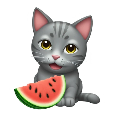 Grey cat eating watermelon  sticker