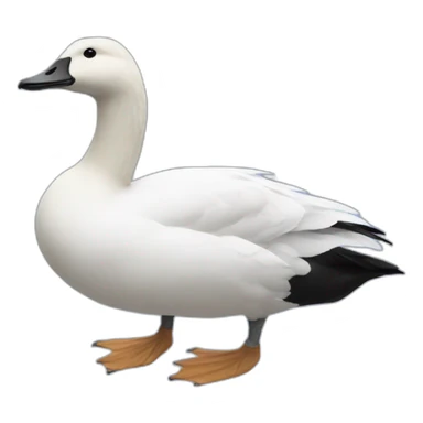 Goose wearing air force ones sticker