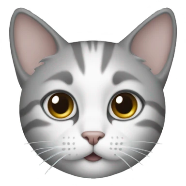 cat whose nose and the middle of its face are white and the rest of it is gray sticker