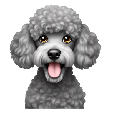 Grey miniature poodle sticker