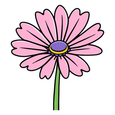 pink African daisy flower, Osteospermum, single flower with pink petals sticker