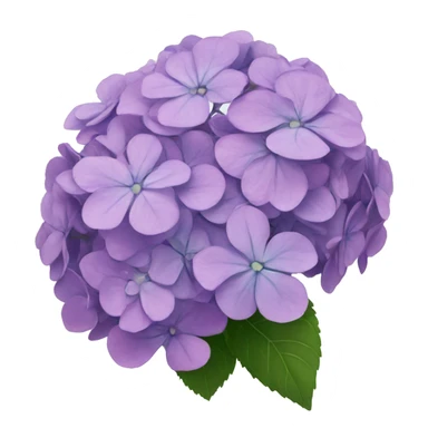 hydrangeas sticker