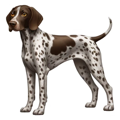 German Shorthaired Pointer with spots sticker