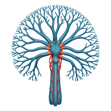 human body nerves sticker