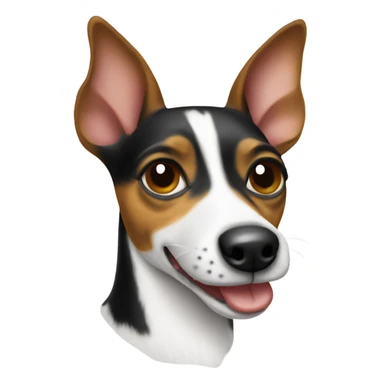 Rat terrier at a desk sticker