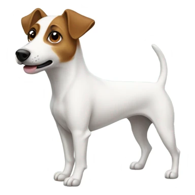 Jack rassel terier  sticker
