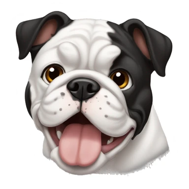  perro bulldog francés negro y blanco  sticker